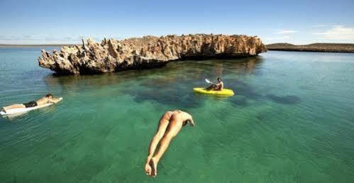 Dirk Hartog Island Eco Lodge Denham Ngoại thất bức ảnh